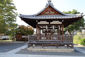 Naklejka premium A japanese shrine : a scene of Haiden Hall of Worship in the precincts of Shimokatsura-goryo-jinjya Shrine in Kyoto City 日本の神社：京都市にある下桂御霊神社の拝殿風景