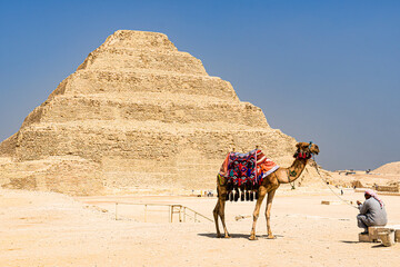 Ägypten, Gizeh, Pyramide, Djoser, Djoser Pyramide, Sand, Kamel, Wüste
