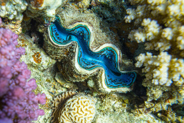 Unterwasser Ägypten