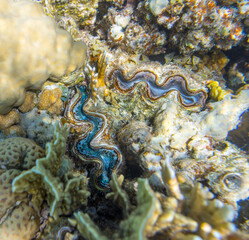 Ägypten unter Wasser