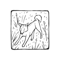 Vector illustration with Dingo walking in the prairie. Hand-drawn sketch in a frame with Australian animal.