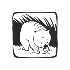 Vector hand-drawn illustration of wombat on grass isolated on white. Stamp with wild Australian animal in sketch style.
