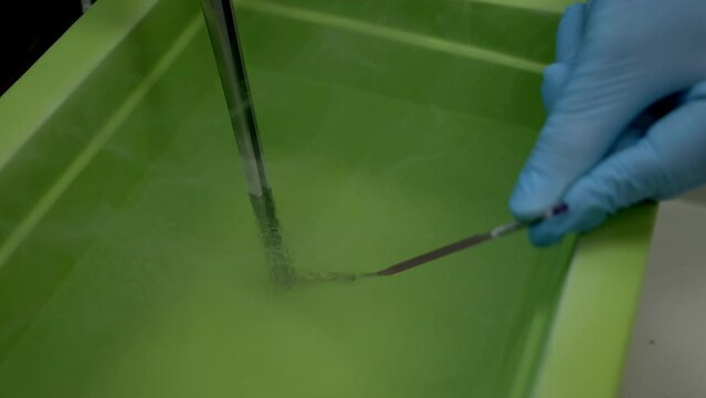 Controlling the embryo freezing process. Human egg embryo freezing inside of the liquid nitrogen filled in the green container. Preserving the healthy embryo by freezing it in cold liquid.
