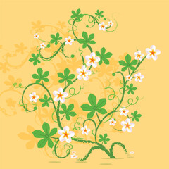 Flower with leaf green leaf nature white flowers