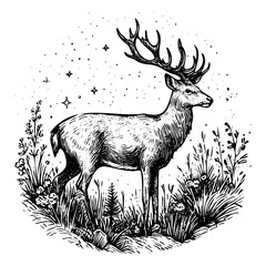 Sketch of a deer, hand drawn in hunting style. Vector illustration design. Vintage engraving of isolated deer. Handmade