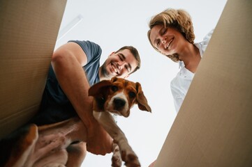 Looking into the box. Young couple with dog are moving to new home