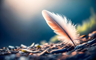Feather of a bird on a background of blue sky and grass