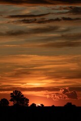 A vertical shot of a bright orange sunset sky over a field