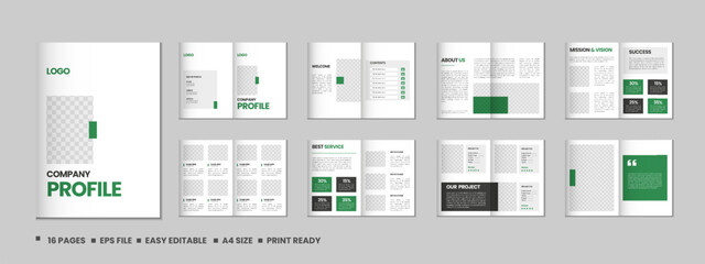Company profile, multipage flyer brochure, 16 pages portfolio magazine, annual report, catalog and a4 multipage template design