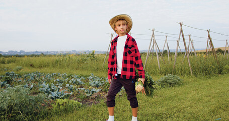 Boy walking on field and holds naturally grown healthy food from basket and happily inspects them....