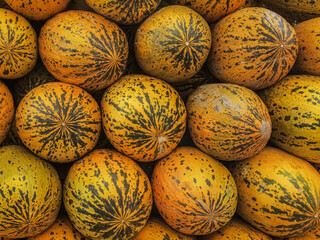 Background of stack of Turkish yellow melons arranged for sale on the counter.