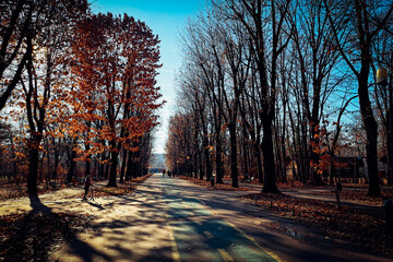 Bucharest București City Park in Christmas