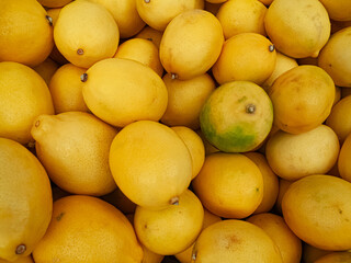 Yellow lemons in Summer tray market agriculture farm full of organic.