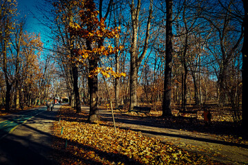 Bucharest București City Park in Christmas