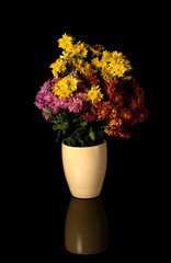 Wildflowers in vase on black background, reflected on a surface