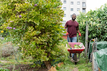 Naklejka na ściany i meble Portrait of smiling man with vegetables in wheelbarrow in urban garden