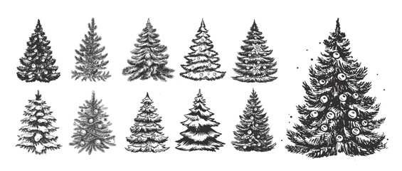 Christmas tree set hand drawn illustration	
 - obrazy, fototapety, plakaty
