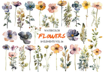 Watercolor painted flowers. Hand drawn flower design elements isolated on white background.