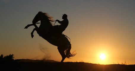 Man on his Camargue Horse Kicking at Sunrise, Manadier in Saintes Maries de la Mer in Camargue, in...