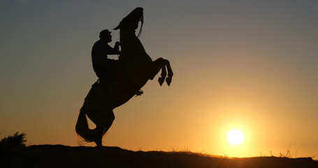 Man on his Camargue Horse Kicking at Sunrise, Manadier in Saintes Maries de la Mer in Camargue, in...
