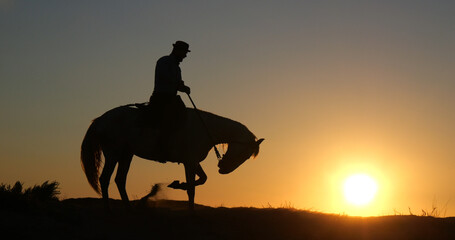 Man on his Camargue Horse at Sunrise, Manadier in Saintes Maries de la Mer in Camargue, in the...