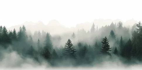 Foto op Plexiglas Generative AI image of woods with mist on top nature photos © Eitan Baron