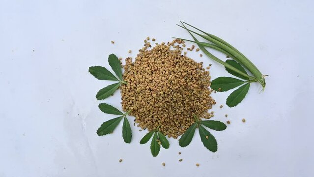 Top view of Fenugreek seeds with green leaves on white surface