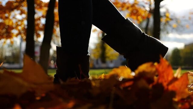 Female feet in boots going on fallen maple leaves at parkland. Legs of young woman stepping on yellow foliage at park. Girl walking at parkland at autumn on sunset. Close up Slow motion