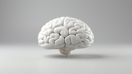 Brain 3D Rendering - White Glossy Isolated Concept for Intelligence, Science, and Innovation | Grey Background