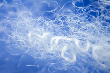 Extreme macro of polyester stable fiber on blue background