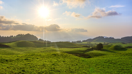 Green fields and meadows on the Portuguese island of São Miguel in the Azores in the early morning sun