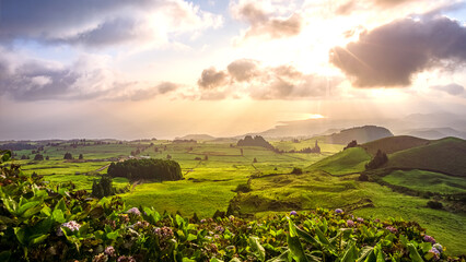 Green fields and meadows on the Portuguese island of São Miguel in the Azores in the early morning sun - obrazy, fototapety, plakaty