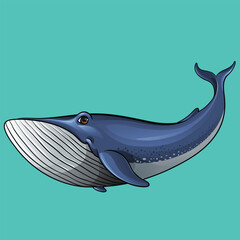 Cute Whale Cartoon