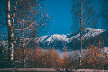 Fairy tale landscape with golden birch branches in the middle of autumn. Amazing view from the base of the snowy rocky mountains.