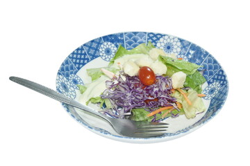 fresh vegetable salad topping crispy bread dressing mayonnaise sauce on plate