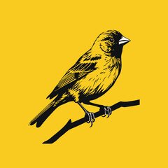 illustration of a bird