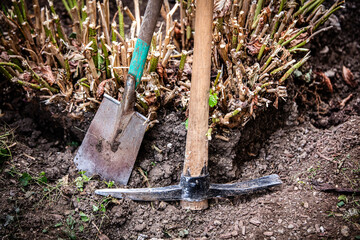 a pickaxe and a spade in the garden - obrazy, fototapety, plakaty