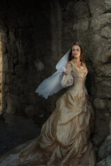 A beautiful red-haired girl in an old medieval dress with swords stands in the mountains and looks into the distance. Fairytale story about a princess. magic light. Warm artistic work. © olenakucher