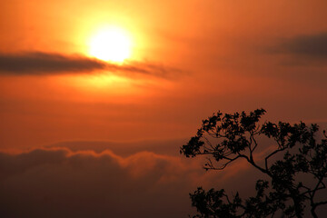 釧路、世界三大夕日、風景、黄金