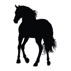 Horse Silhouettes on White Background
