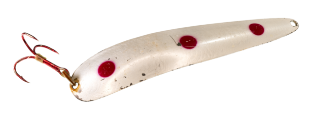 An old scarred white colored fishing lure with three red spots and a red hook on a clean background.
