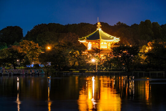 東京都台東区 夜の上野公園 不忍池辯天堂