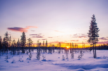 Winter sunset