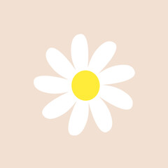 chamomile daisy. Collection of cute flower plants. White chamomile icon. Love card. Evolving concept. Flat design. Isolated. 