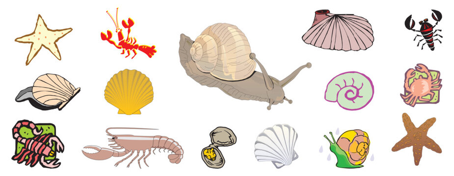 CRUSTACE Cliparts miscellaneous animals creative clipart and cartoons etc - compendium vector illustrations editable best art design for multipurpose use in high definition format