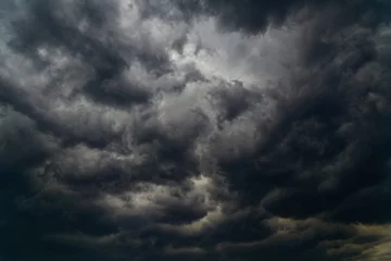 Foto op Canvas A dark storm cloud closes the sky © Александр Ланевский