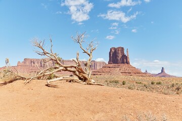 The incredible landscapes of the Monument Valley Scenic Drive