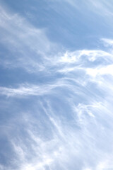 Skyscape. Cumulus clouds in close-up.