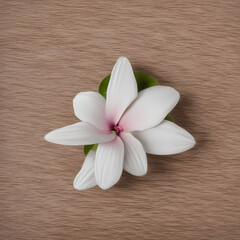 Fototapeta na wymiar Spiralblock für einen digitalen Planer mit Kirschblütenform-Post-it-Symbol auf weißem Hintergrund und ästhetischem Hintergrund mit Blumenmuste
