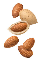 Flying almonds in shell isolated on white background.